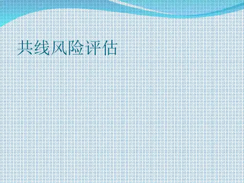 共线风险评估概述(PPT 31张)
