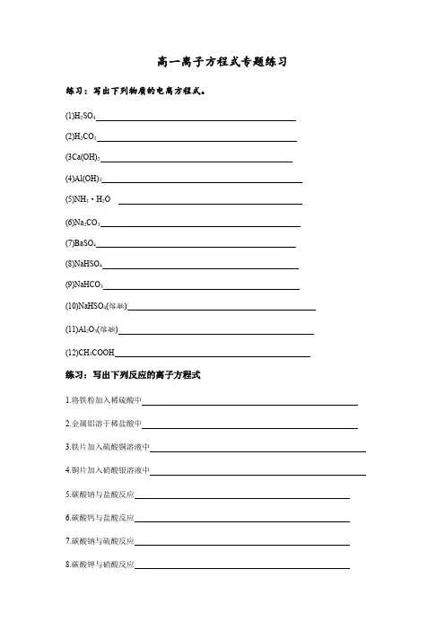 高一离子方程式练习