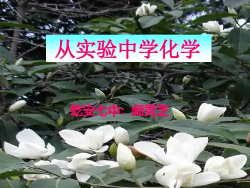 实验基本方法全面版