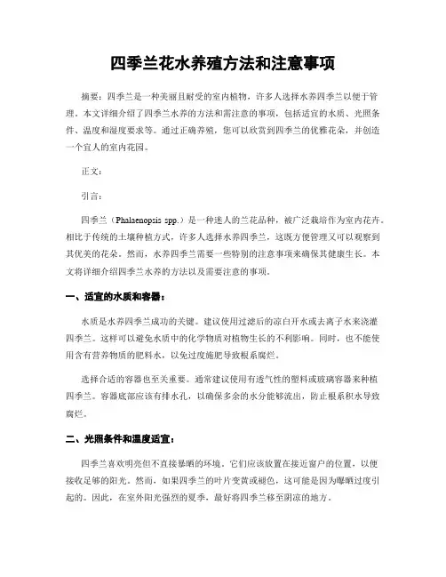 四季兰花水养殖方法和注意事项