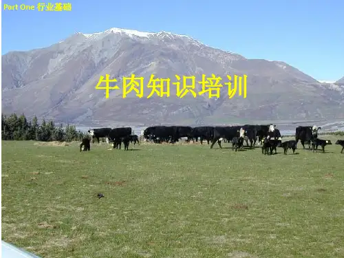 中国牛肉进口情况