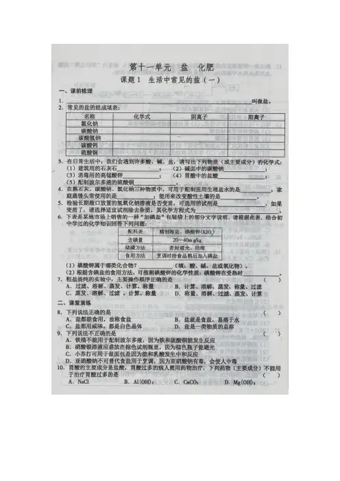 九年级化学下册(人教版)新版第十一单元盐_化肥_课题1生活中常见的盐