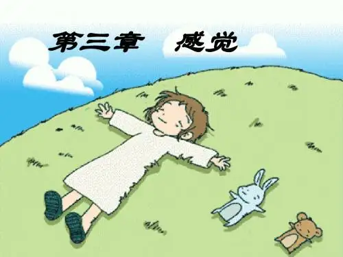 普通心理学_彭聃龄_感觉汇总.