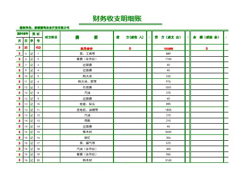 财务收支明细表
