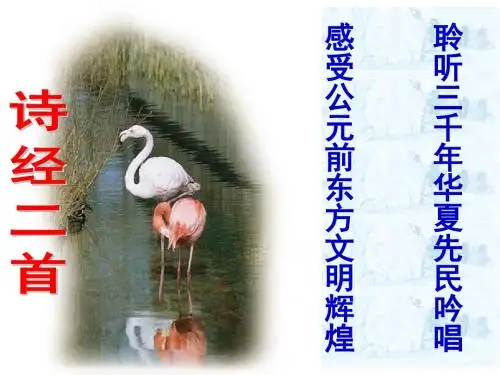 12诗经两首《关雎》《蒹葭》