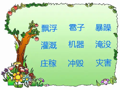 我是什么.ppt