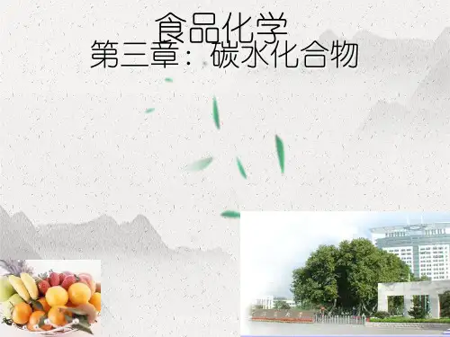 食品化学碳水化合物部分
