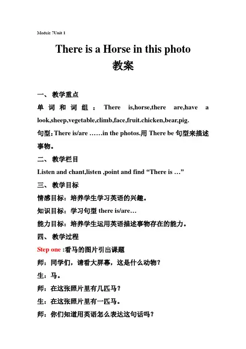 《There is a horse in this photo 》教学设计 1