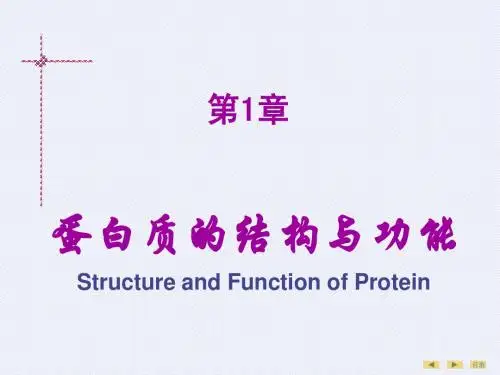 药学,大学,生物化学,蛋白质的结构与功能