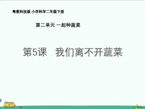 粤教版二年级下册科学课件《5 我们离不开蔬菜》课件