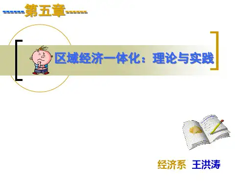 第5章 区域经济一体化:理论与实践
