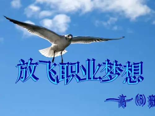 放飞职业梦想
