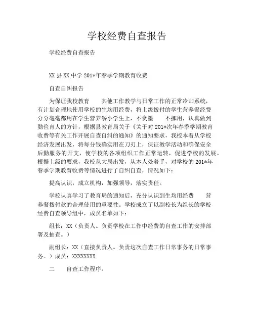 学校经费自查报告