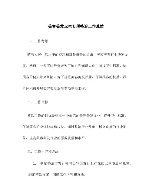 美容美发卫生专项整治工作总结