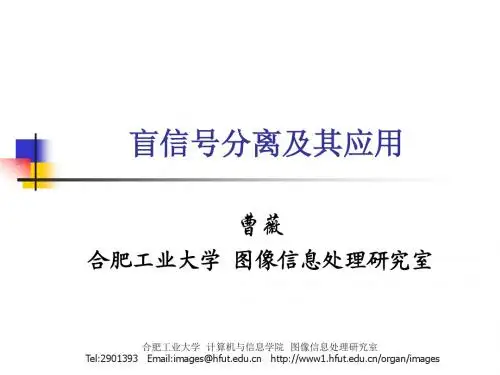盲信号分离及其应用