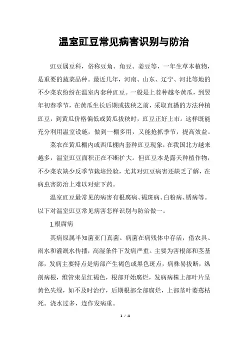 温室豇豆常见病害识别与防治