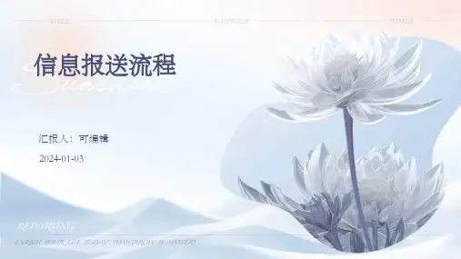 信息报送流程