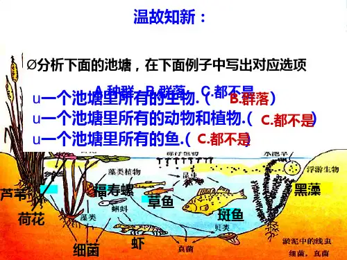 人教版高中生物必修三4.3++群落的结构++课件(共23张PPT)