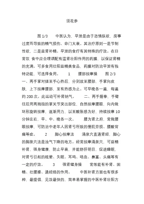 须花参