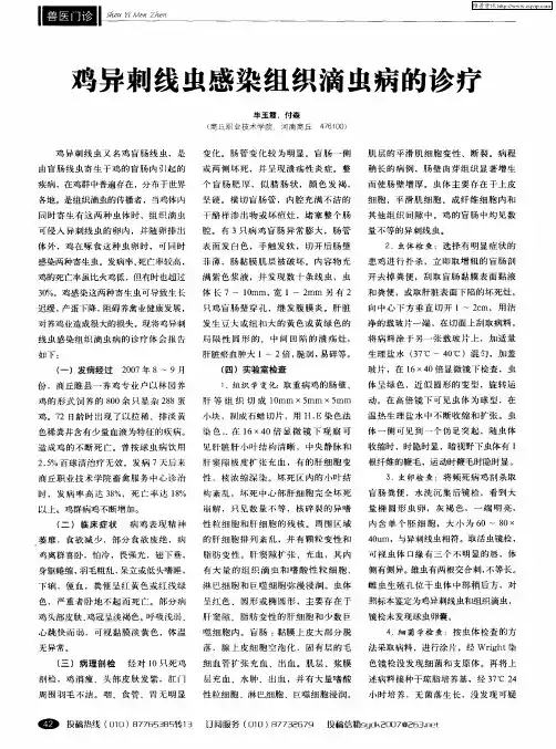 鸡异刺线虫感染组织滴虫病的诊疗