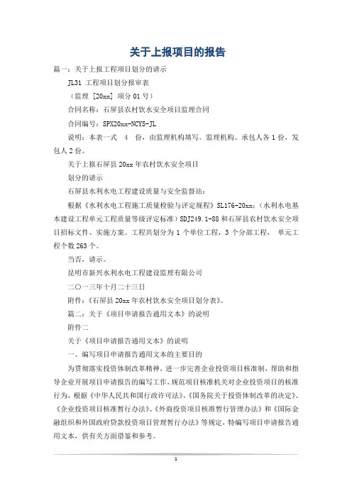 关于上报项目的报告