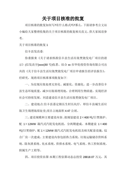  关于项目核准的批复