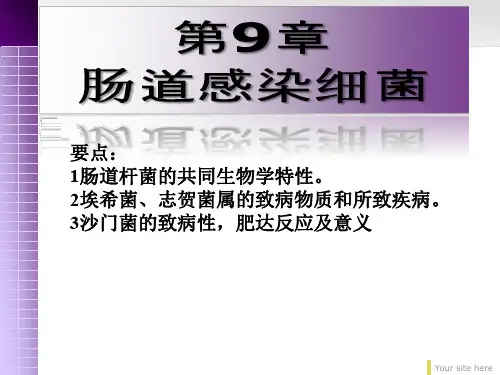肠道感染细菌PPT课件