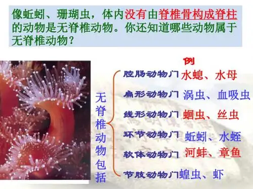 [名校联盟]广东省佛山市中大附中三水实验中学八年级生物上册5.1.4鱼 初二上