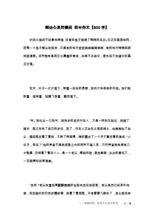 触动心灵的瞬间 初中作文【800字】