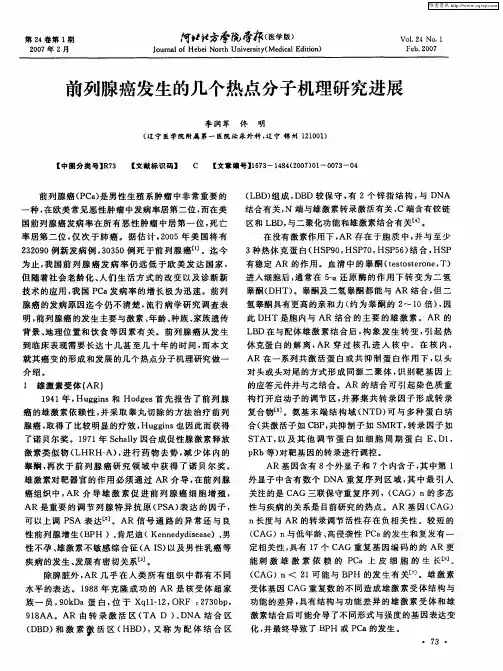 前列腺癌发生的几个热点分子机理研究进展