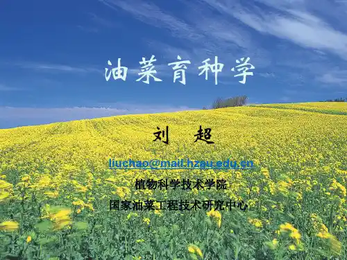 油菜育种学.