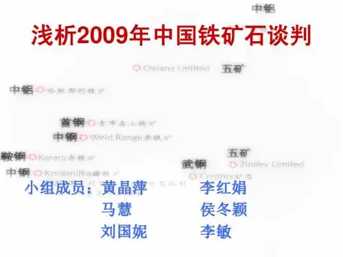 浅析2009年中国铁矿石谈判