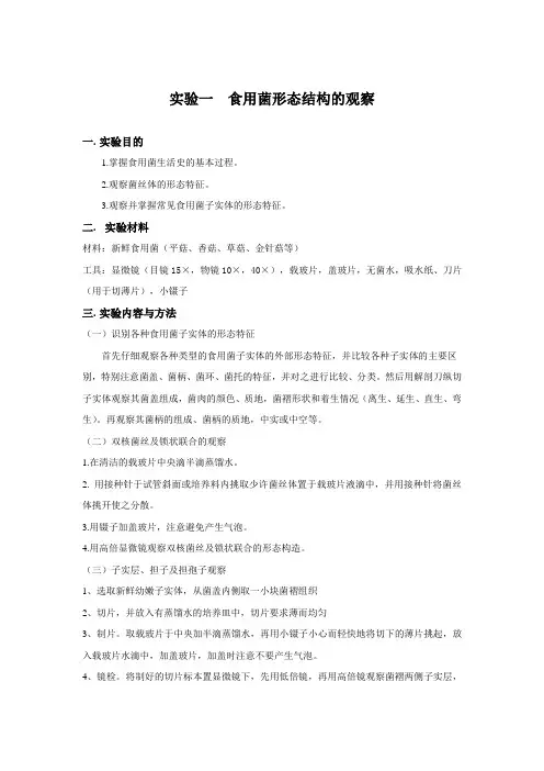 实验一  食用菌形态结构的观察