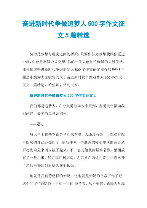 奋进新时代争做追梦人500字作文征文5篇精选