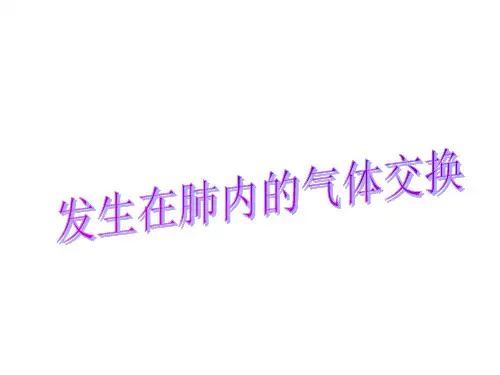 肺泡与外界的气体交换
