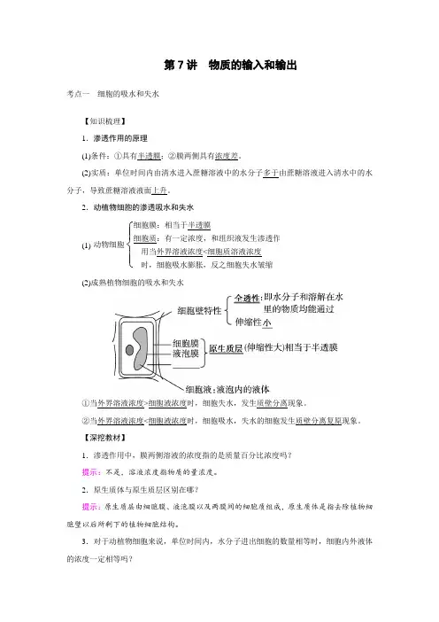 2022年高考生物一轮复习讲义：第7讲 物质的输入和输出