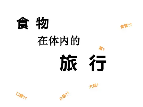教科版科学《食物在体内的旅行》优质课件1