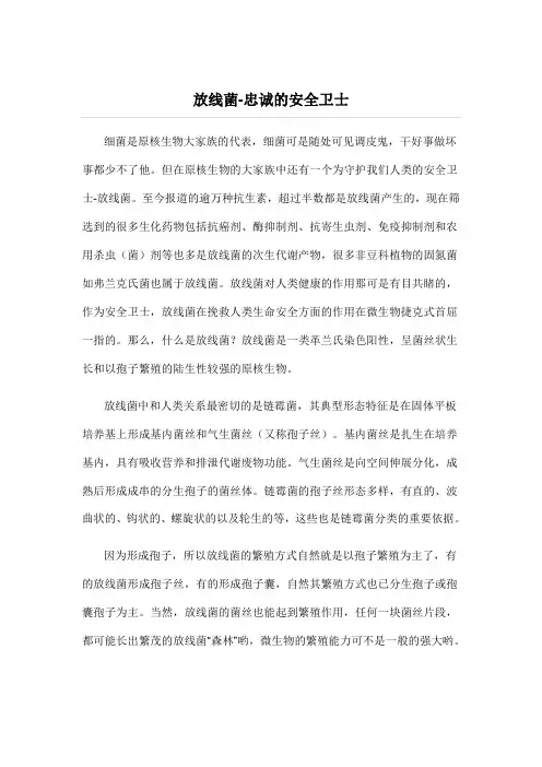放线菌doc