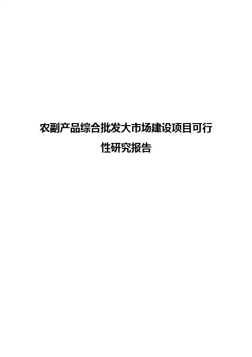 农副产品综合批发大市场建设项目可行性研究报告