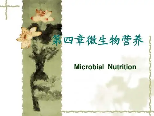 第四章微生物营养