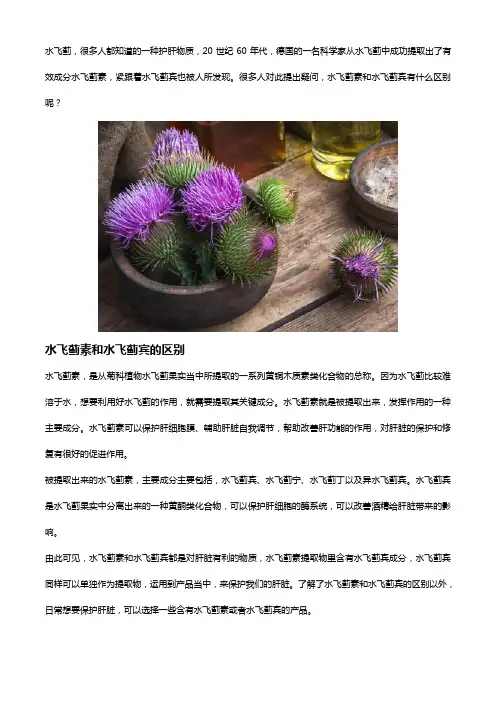 水飞蓟素和水飞蓟宾有什么区别,搭配什么物质护肝更好