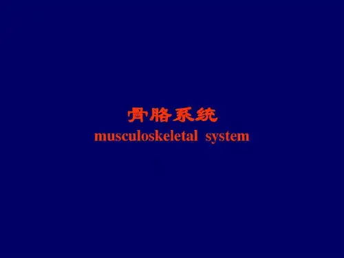 骨骼系统X线诊断399页PPT