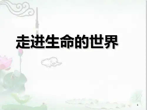 走进生命的世界PPT课件