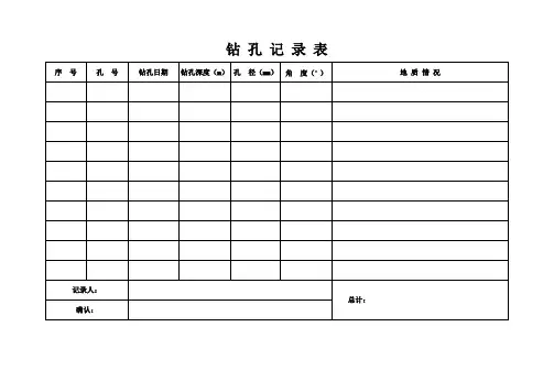 钻孔记录表