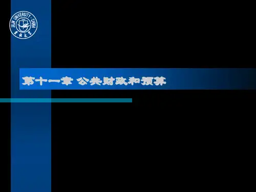 第十一章公共财政和预算