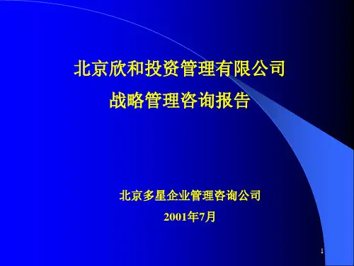 北京欣和投资管理有限责任公司管理咨询报告咨询报告一：战略管理