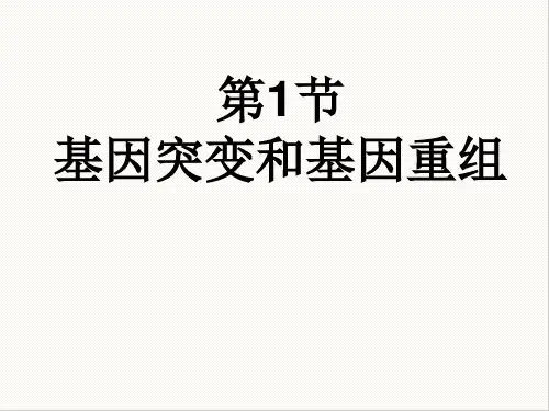 人教版高中生物必修二第5章第1节基因突变和基因重组 课件(共15张PPT)