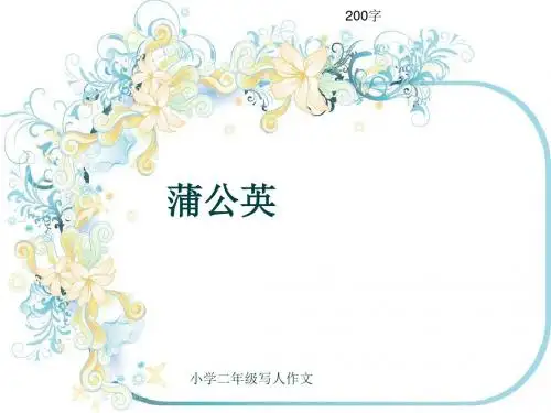 小学二年级写人作文《蒲公英》200字