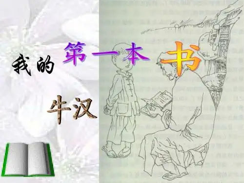 我的第一本书