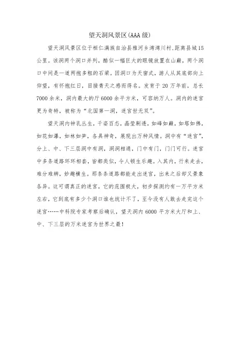 望天洞